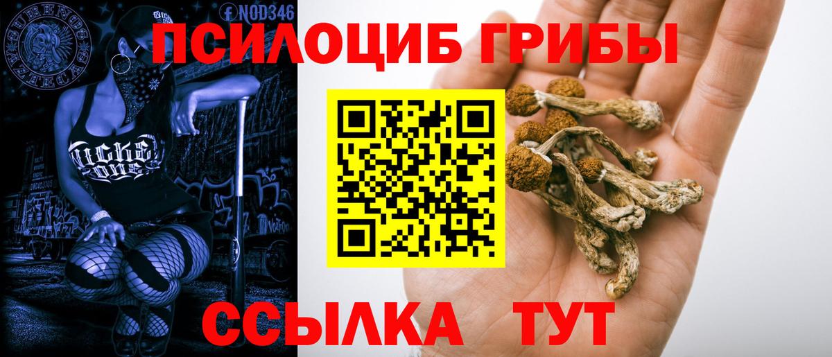 Ноябрьск  Галлюциногенные грибы GOLDEN TEACHER  Вход с VPN  Галлюциногенные грибы Psilocybe 